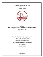 tiểu luận pháp luật về thị trường chứng khoánđề tài pháp luật về bảo lãnh phát hành trái phếu tại việt nam 
