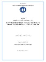 PHÂN TÍCH CHIẾN LƯỢC DÒNG SẢN PHẨM BÁNH TRUNG THU KINH ĐÔ CỦA CÔNG TY KINH ĐÔ