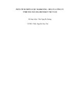 phân tích chiến lược marketing   mix của công ty tnbb nhà máy bia beineken việt nam 