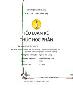 Phân tích hàng hóa sức lao động  liên hệ và nêu giải pháp giải quyết bài toán thất nghiệp ở việt nam hiện nay 