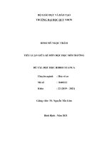 tiểu luận giữa kì môn độc học môi trường đề tài độc học hidro xyanua 