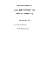 Bài toán qua sôngtrí tuệ nhân tạo