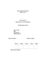 BÀI tập lớn học PHẦN tố TỤNG HÌNH sự thực tiễn thi hành pháp luật về kinh doanh dịch vụ sàn giao dịch bất động sản tại việt nam 