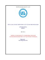 NHỮNG VẤN ĐỀ PHÁP LÝ VỀ HỢP ĐỒNG THẾ CHẤP TÀI SẢN ĐỂ ĐẢM BẢO TIỀN VAY TẠI CÁC TỔ CHỨC TÍN DỤNG