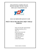 BÁO cáo NHÓM môn KINH tế VI mô PHÂN TÍCH THỊ TRƯỜNG điện THOẠI IPHONE 