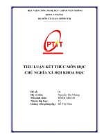TIỂU LUẬN kết THÚC môn học CHỦ NGHĨA xã hội KHOA học 