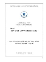 BÀI TIỂU LUẬN NHÓM môn học đầu tư QUỐC tế đề tài REVENUE GROWTH SCENARIO 
