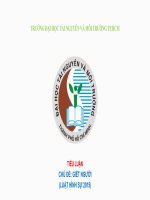 Tiểu luận môn Pháp luật đại cương