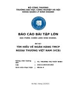 BÀI TIỂU LUẬN về chiến lược kinh doanh của ngân hàng VIETCOMBANK