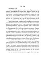 Tiểu luận môn Triết học: Phân tích và chứng minh luận điểm: “Thực tiễn không có lý luận hướng dẫn thì thành thực tiễn mù quáng. Lý luận không liên hệ với thực tiễn là lý luận