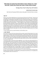 Tiềm năng sử dụng phụ phế phẩm vỏ dứa trong xử lý rác nhà bếp thành sản phẩm ứng dụng trong nông nghiệp