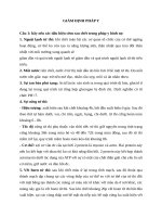 ĐỀ CƯƠNG GIÁM ĐỊNH PHÁP Ý CÓ ĐÁP