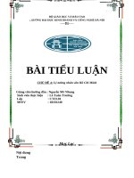 TIỂU LUẬN CHỦ đề 4  lý tưởng nhân văn hồ chí minh 