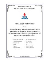 Giải pháp thúc đẩy dịch vụ giao nhận hàng hóa xuất khẩu bằng container đường biển tại công ty cổ phần quốc tế tico   chi nhánh hải phòng  