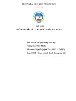 BỘ môn NHỮNG NGUYÊN lý cơ bản CHỦ NGHĨA mác LÊNIN hãy bình luận CNXH khoa học theo nghĩa rộng là chủ nghĩa mác – lênin 