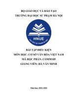 bài tập điều kiện môn cơ sở văn hoá việt nam đề tài Trầu cau trong văn hóa Việt