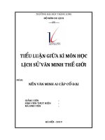 NỀN VĂN MINH AI CẬP CỔ ĐẠI