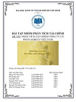 BÀI tập NHÓM PHÂN TÍCH tài CHÍNH đề tài PHÂN TÍCH tài CHÍNH CÔNG TY cổ PHẦN SABECO VIỆT NAM 