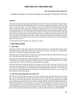 Hàng hiệu hay hàng bình dân