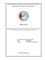 TIỂU LUẬN MARKETING PHÂN TÍCH CHIẾN LƯỢC MARKETING MIX CỦA VINAMILK