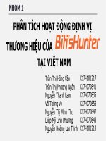PHÂN TÍCH HOẠT ĐỘNG ĐỊNH vị THƯƠNG HIỆU của BITITHUNTER tại VIỆT NAM 