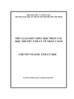 TIỂU LUẬN kết THÚC học PHẦN các học THUYẾT tâm lý về NHÂN CÁCH phân tích các luận điểm về nhân cách của s freud và a adler 