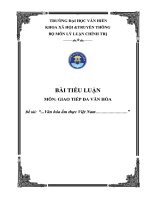BÀI TIỂU LUẬN MÔN GIAO TIẾP ĐA VĂN HÓA Đề tài Văn hóa ẩm thực Việt Nam