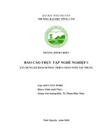 BÁO cáo THỰC tập NGHỀ NGHIỆP 1 xây DỰNG kế HOẠCH PHÁT TRIỂN CHĂN NUÔI tập TRUNG 