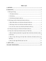 Xã hội hóa thi hành án dân sự