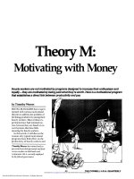 Theory M - Motivating with Money.