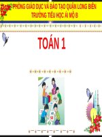 Bài giảng môn Toán lớp 1 sách Cánh diều năm học 2020-2021: Các số đến 100 ​(Trường Tiểu học Ái Mộ B)