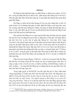 Tiểu luận Văn hóa biển đảo ở Việt Namm