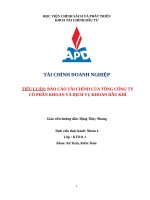 TIỂU LUẬN báo cáo tài CHÍNH của TỔNG CÔNG TY cổ PHẦN KHOAN và DỊCH vụ KHOAN dầu KHÍ 