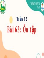 Bài giảng môn Tiếng Việt lớp 1 sách Cánh diều năm học 2021-2022 - Bài 63: Ôn tập (Trường Tiểu học Ái Mộ B)