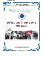Môn quản trị chuỗi cung ứngđề tài chuỗi cung ứng của hm GVHD lê 