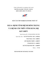 BÁO cáo THÍ NGHIỆM GENOMIC PHÂN tử bài 4  ĐỊNH TÍNH BỆNH đốm TRẮNG và BỆNH còi TRÊN tôm BẰNG bộ KIT SHPT 