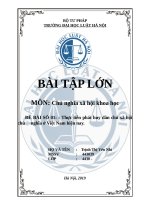 TIỂU LUẬN thực tiễn phát huy dân chủ xã hội chủ     nghĩa ở việt nam hiện nay  