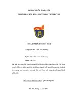 TIỂU LUẬN anh (chị) hãy phân tích mối liên hệ giữa những giá trị gia đình việt nam truyền thống và việt nam hiện đại thông qua các mối quan hệ chính của gia đình 