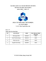 BÁO cáo môn học THÍ NGHIỆM AN TOÀN điện KHẢO sát sơ đồ TN KHI có sự sự cố CHẠM vỏ TRONG mỗi THIẾT bị 