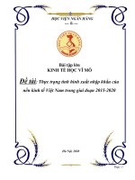 Đề tài: Thực trạng tình hình xuất nhập kinh tế Việt Nam giai đoạn 2015-2020