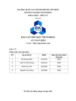 BÁO cáo môn học THÍ NGHIỆM AN TOÀN điện KHẢO sát sơ đồ TN KHI có sự sự cố CHẠM vỏ TRONG mỗi THIẾT bị 