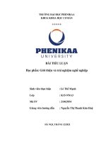 TIỂU LUẬN học phần giới thiệu và trải nghiệm nghề nghiệp  đề xuất, kiến nghị cho nghề nghiệp tương lai của bản thân 