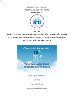 PHÂN TÍCH môi TRƯỜNG bên TRONG IFE, môi TRƯỜNG bên NGOÀI EFE, SWOT ẢNH HƯỞNG đến NĂNG lực CẠNH TRANH của CÔNG TY cổ PHẦN sữa TH TRUE MILK 