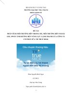 PHÂN TÍCH môi TRƯỜNG bên TRONG IFE, môi TRƯỜNG bên NGOÀI EFE, SWOT ẢNH HƯỞNG đến NĂNG lực CẠNH TRANH của CÔNG TY cổ PHẦN sữa TH TRUE MILK