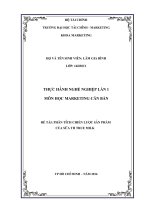 TIỂU LUẬN PHÂN TÍCH CHIẾN lược sản PHẨM của sữa TH TRUE MILK 