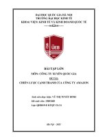 BÀI tập lớn môn CÔNG TY XUYÊN QUỐC GIA đề tài CHIẾN lược CẠNH TRANH của CÔNG TY AMAZON 