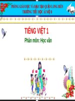 Bài giảng môn Tiếng Việt lớp 1 sách Cánh diều năm học 2020-2021 - Bài 21: Ôn tập (Trường Tiểu học Ái Mộ B)