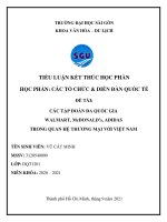 TIỂU LUẬN các tổ CHỨC  DIỄN đàn QUỐC tế đề tài các tập đoàn đa QUỐC GIA WALMART, McDONALD’s, ADIDAS TRONG QUAN hệ THƯƠNG mại với VIỆT NAM 