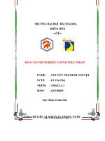 BÁO cáo THÍ NGHIỆM VI SINH THỰC PHẨM 