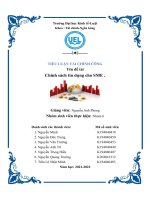 TIỂU LUẬN TÀI CHÍNH CÔNG tên đề tài chính sách tín dụng cho SME  
